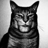Фото профиля Chat de château