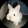 clio_ profil fotoğrafı