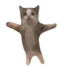 猫行燈 的头像
