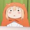 Hello world 的头像