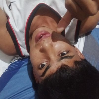 593vaquerito's profile picture