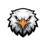 SJM's profile picture