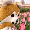 これでいいのだ 的头像