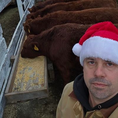Ryan Heiniger's profile picture