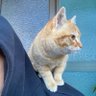 P's profile picture