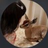 Profilbild von ࢪيــﻤ♡