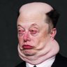 Profilbild von Elon Is jewish