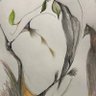 Profilbild von Bell