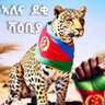 Muller Afro 的头像