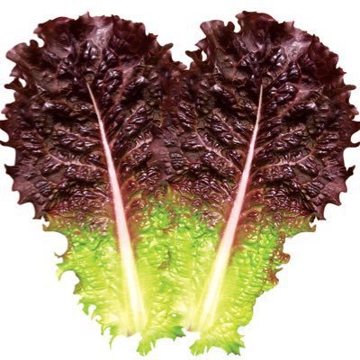 ssssssangchu1's profile picture