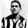 Botafogomaistradicional's profile picture