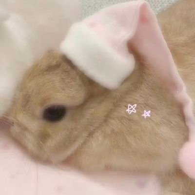 好怕你们有厌蠢症不和我玩了's profile picture