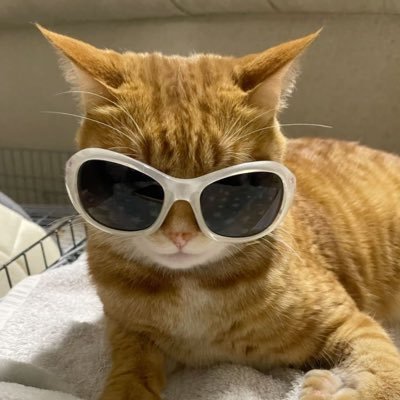 wara's profile picture