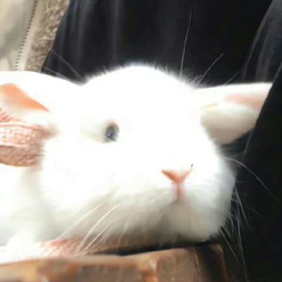 yilia_0626's profile picture