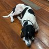 phoebe profil fotoğrafı