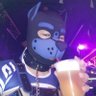 ウメタロウ's profile picture