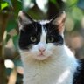 Catro🇹🇼's profile picture