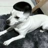 guoke 的头像
