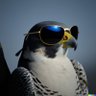 Profilbild von tautologer