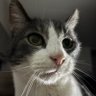 Profilbild von mowen10264