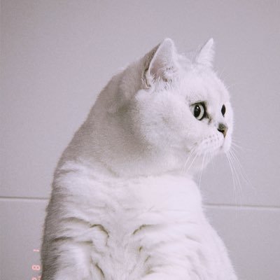 可乐_Add1ction's profile picture