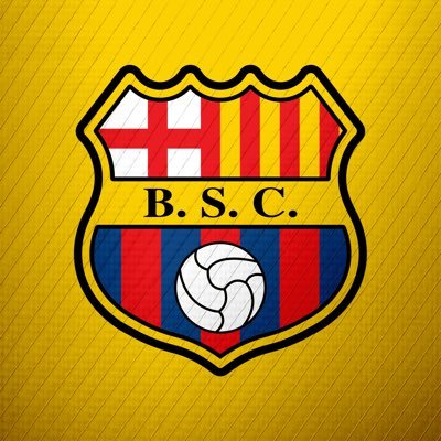BSCFemenino_'s profile picture