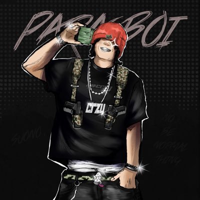 suono_sai's profile picture