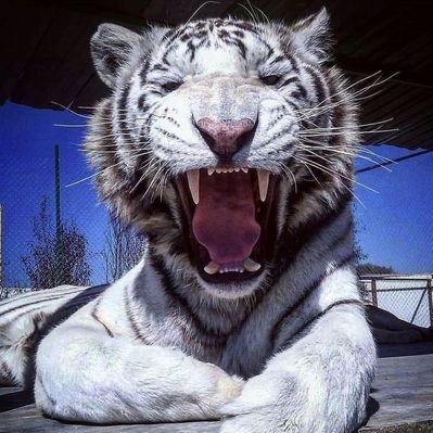 fran's profile picture