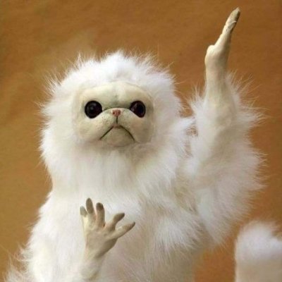 MayoMonkey's profile picture
