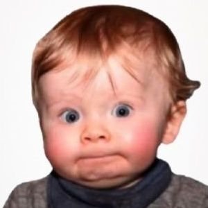 Brian_onX's profile picture