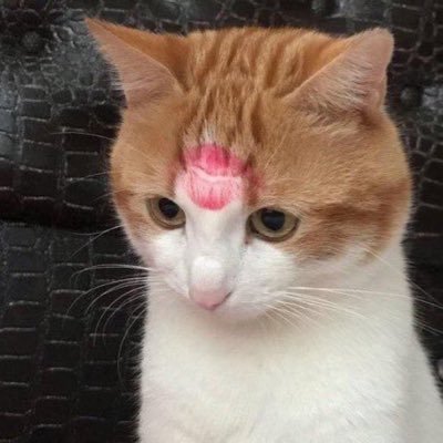 민돌이's profile picture