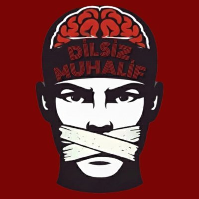 dilsizmuhalif's profile picture