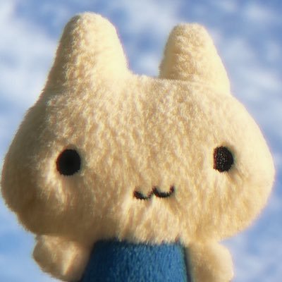 echo4eva's profile picture