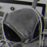 one's profile picture