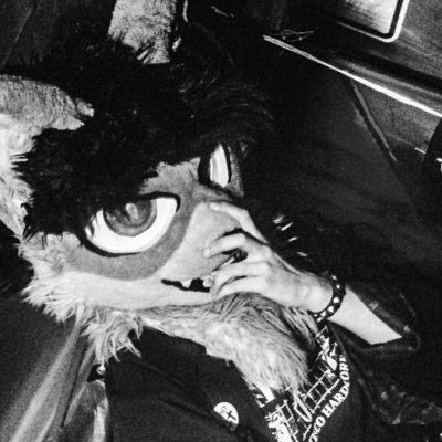 uminarchy's profile picture