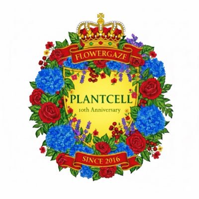 plantcellll's profile picture