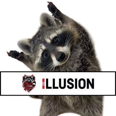 illusion_ow's profile picture