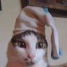 Angel's profile picture