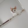 飞宇 profil fotoğrafı