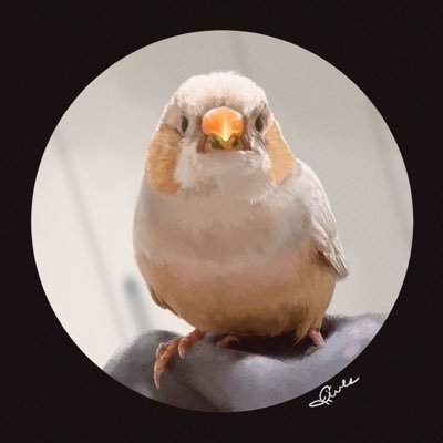 🎃かぼちゃのぱん つ🌝's profile picture