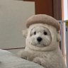 Profilbild von nabs* ˊᵕˋ
