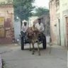 Фото профиля आम आदमी