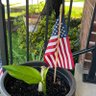 GuinevereRevere🇺🇸 的头像