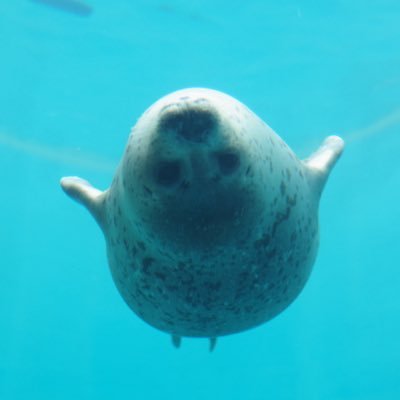 ねる's profile picture