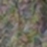 Profilbild von random account