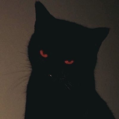 xClipzzy's profile picture