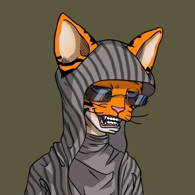 Gonzalo's profile picture