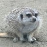 Фото профиля けつあな