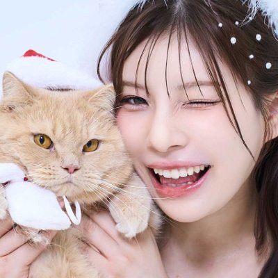 ReiKamiki_STAFF's profile picture