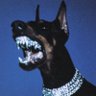 Profilbild von 0xcrlt